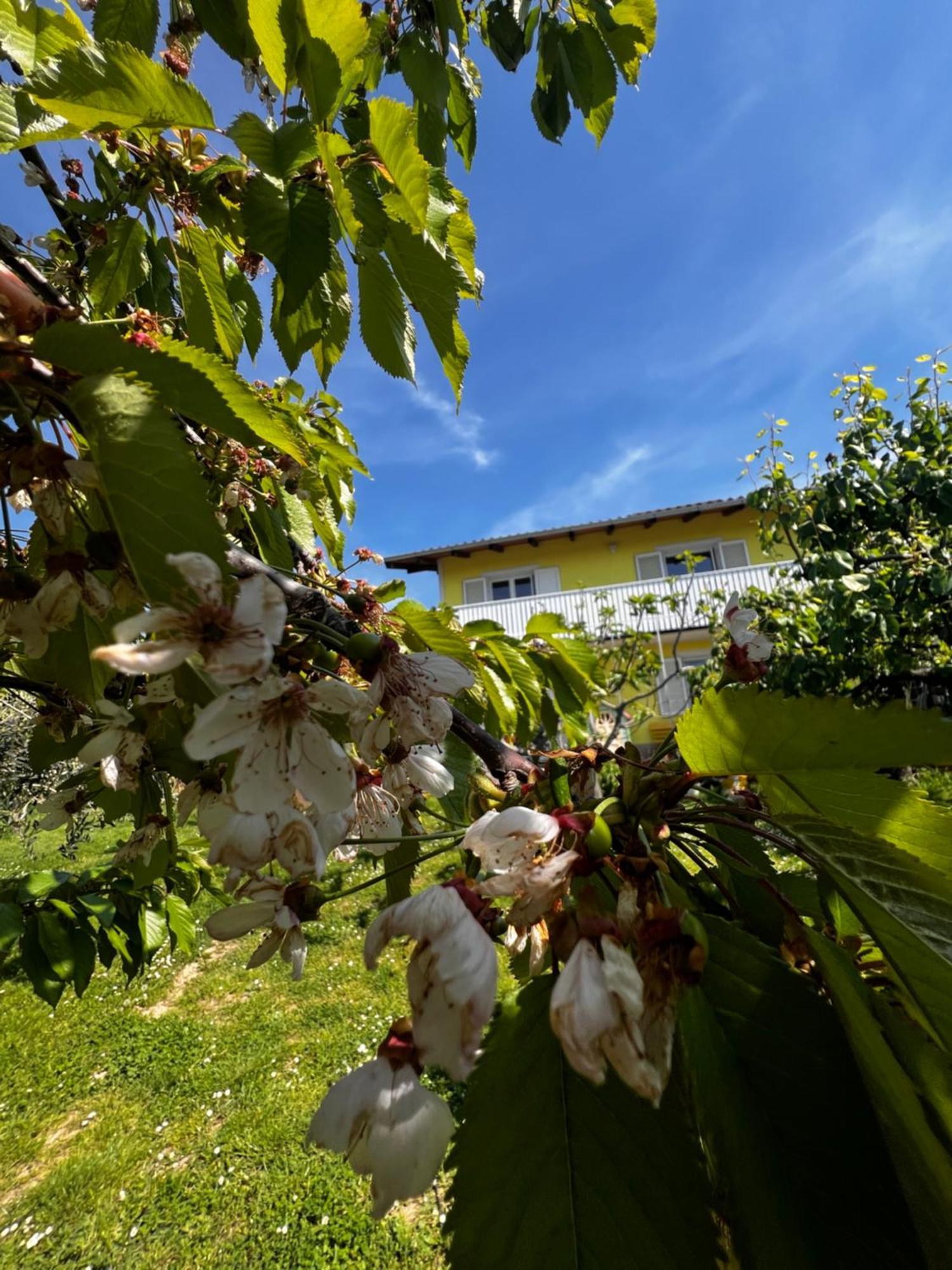 Appartement Na Kmetiji S Konji - Pogelsek *